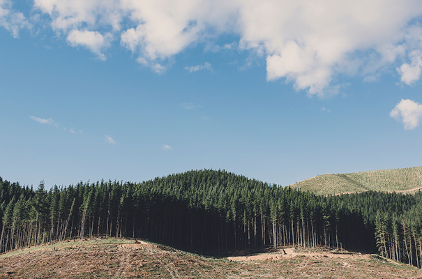 country-victoria-wedding-long-table-bright-inspiration37