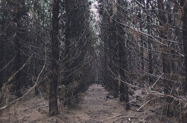 country-victoria-wedding-long-table-bright-inspiration48