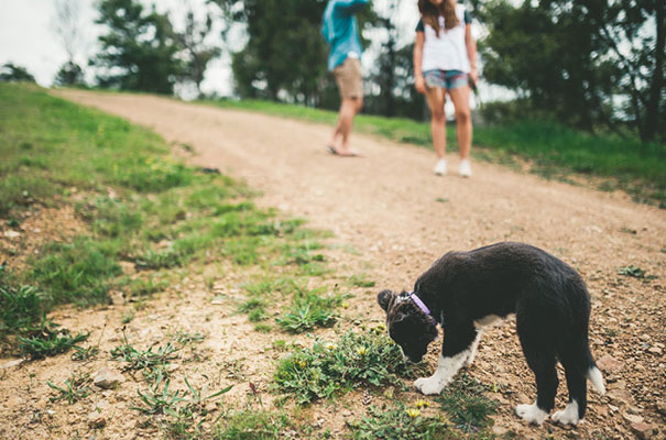 engagenent-shoot-natural-wedding-photographer