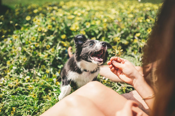 engagenent-shoot-natural-wedding-photographer12