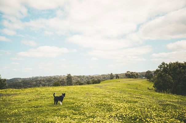 engagenent-shoot-natural-wedding-photographer23