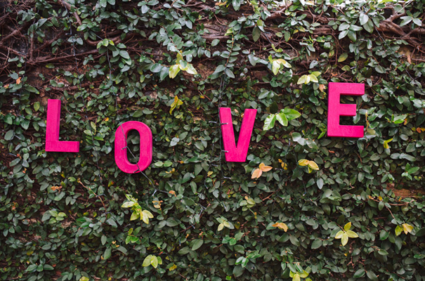 homemade-backyard-diy-wedding-budget-sydney28