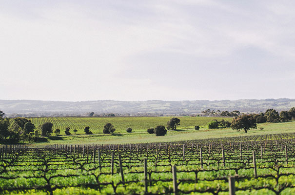 jenny-packham-bridal-gown-wedding-dress-adelaide-winery-wedding-photographer