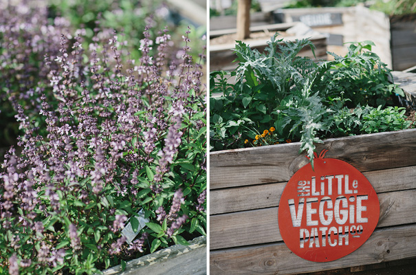 melbourne-veggie-patch-co-wedding17