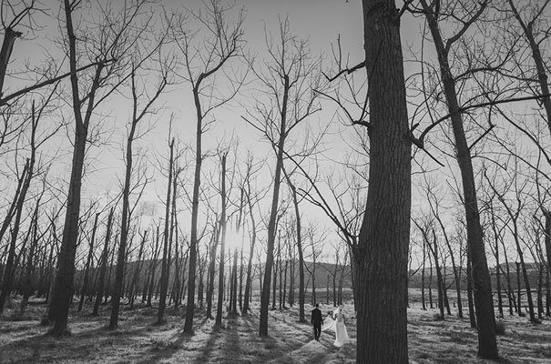 mindaribba-wedding-ben-adams-photography33