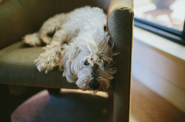 perth-backyard-wedding-still-love-photography4