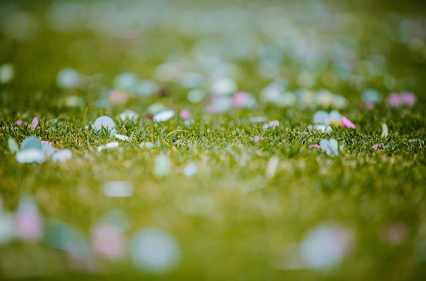 queensland-barn-hanger-bo-and-luca-wedding-bride18