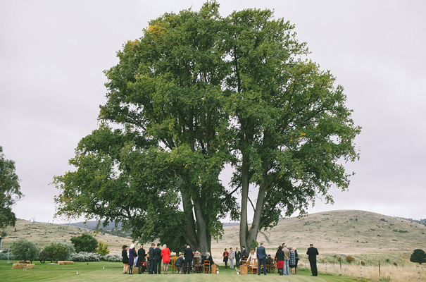 tasmanian-wedding-photographer17