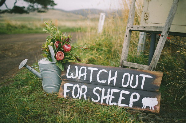 tasmanian-wedding-photographer18