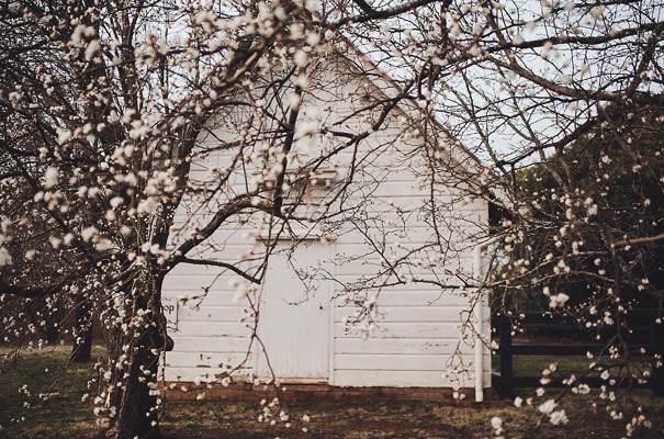NSW-sparkly-sequin-silver-diamonte-wedding-dress-black-tie-elegant21