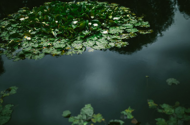 VIC-yellow-vintage-homemade-DIY-wedding-bride-australian229