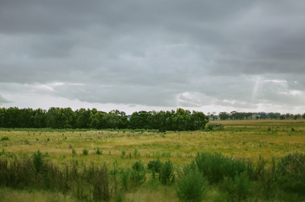 VIC-yellow-vintage-homemade-DIY-wedding-bride-australian275