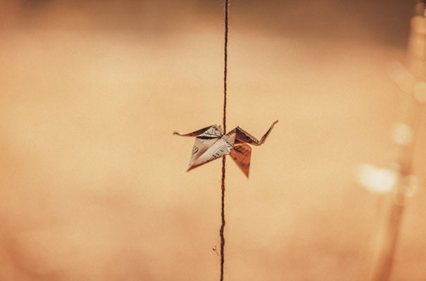 australian-bush-teepee-wedding5