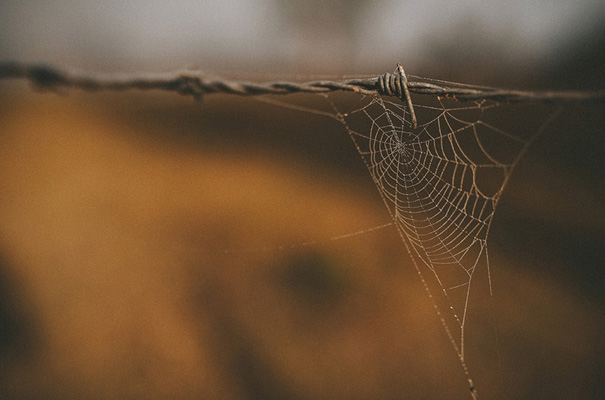 country-queensland-bush-wedding