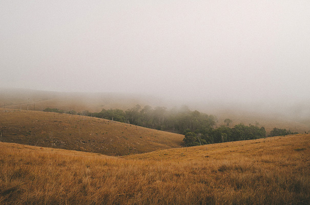 country-queensland-bush-wedding2