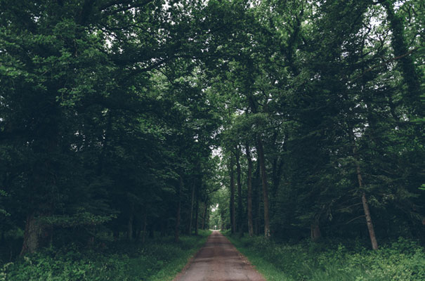 french-wedding-paris-bride-boho-gypsy