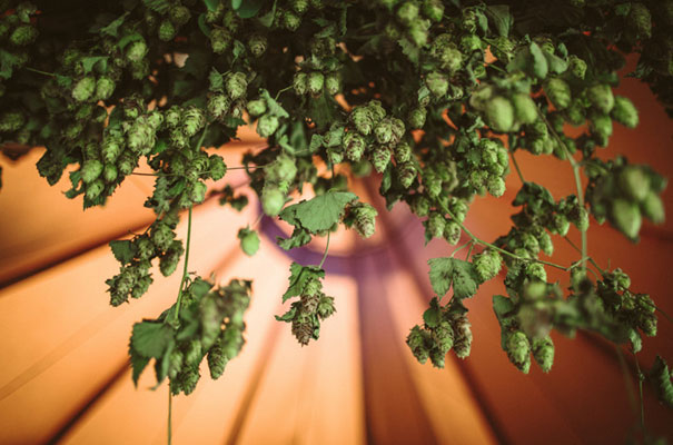 katalane-tee-pee-tipi-melbourne-wedding-photographer-the-white-tress26