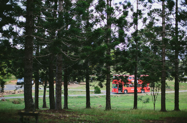 retro-rock-n-roll-vintage-bride-wedding15
