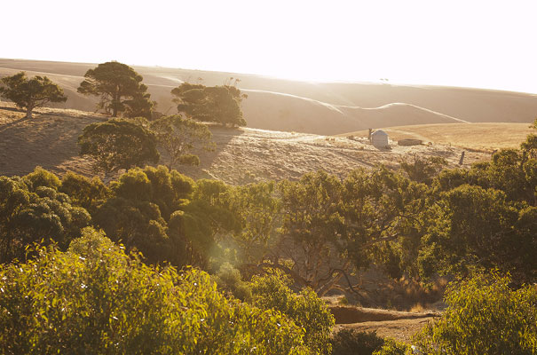 south-australian-country-wedding-short-dress21