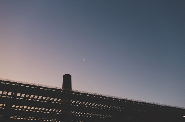 the-grounds-alexandria-wedding-carla-zampatti-and-a-day-photography23