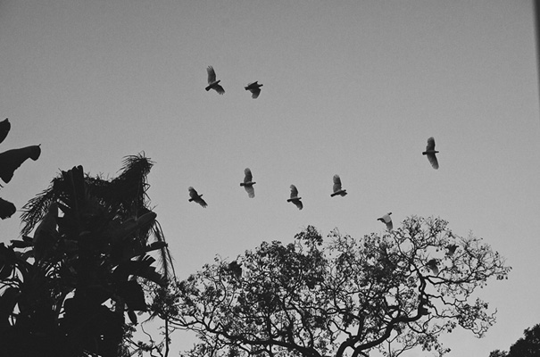 blush-bridal-gown-hair-makeup-wedding-inspiration-garden-signage41