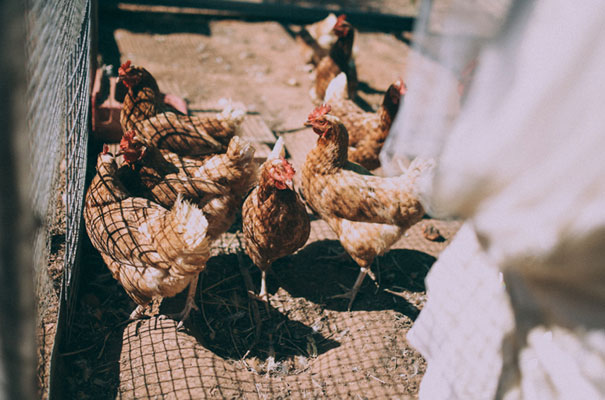 boho-gypsy-eclectric-wedding-bride-gwenndolyne-dress-gown18