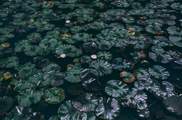 boho-gypsy-eclectric-wedding-bride-gwenndolyne-dress-gown36