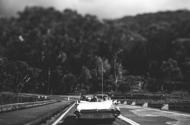 national-park-sydney-australian-bush-wedding-vintage-bride12