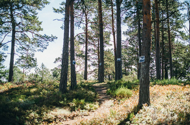 norway-destination-wedding-blush-bridal-gown-trent-jessie