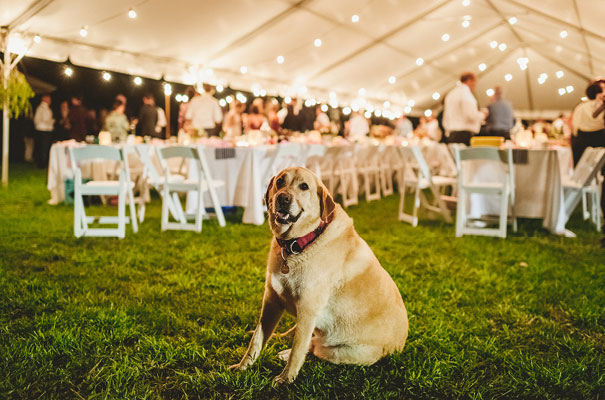 country-bush-australian-backyard-diy-wedding-sequin-silver-bridal-gown60