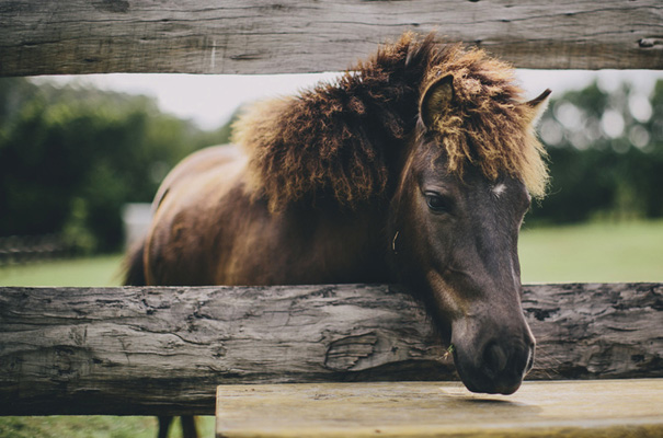 lover-the-label-sunshine-coast-backyard-wedding-yellow-inspiration3