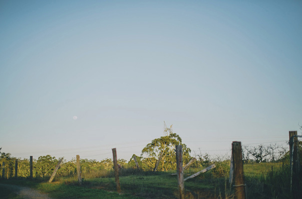 lover-the-label-sunshine-coast-backyard-wedding-yellow-inspiration41