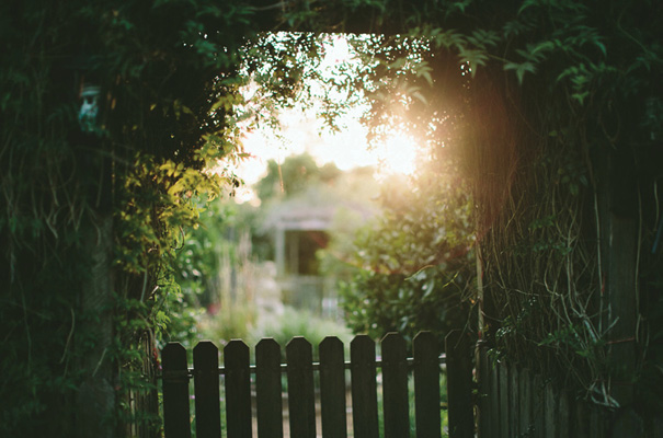 lover-the-label-sunshine-coast-backyard-wedding-yellow-inspiration43