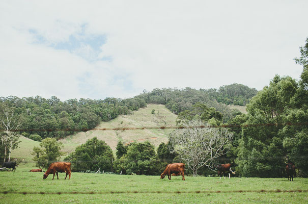 best-quirky-wedding-ever-bike-ride-gypsy-bride-shane-shepherd