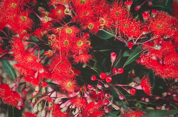 best-vintage-bridal-gown-blue-wedding-dress-backyard-inspiration21