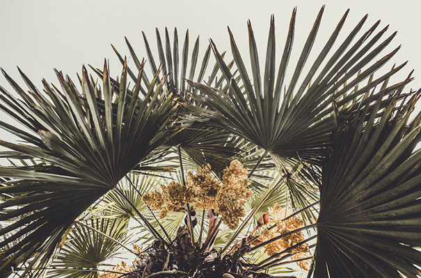 laure-de-sagazan-french-designer-lace-bridal-gown-wedding-dress-skirt-top-seperates27