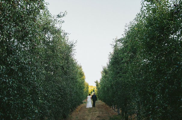 winery-vineyard-long-table-wedding-inspiration32