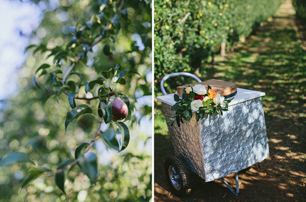 winery-vineyard-long-table-wedding-inspiration6