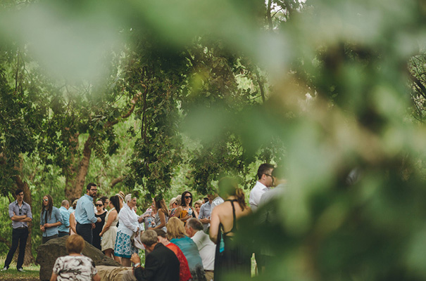 collingwood-childrens-farm-melbourne-wedding-photographer6