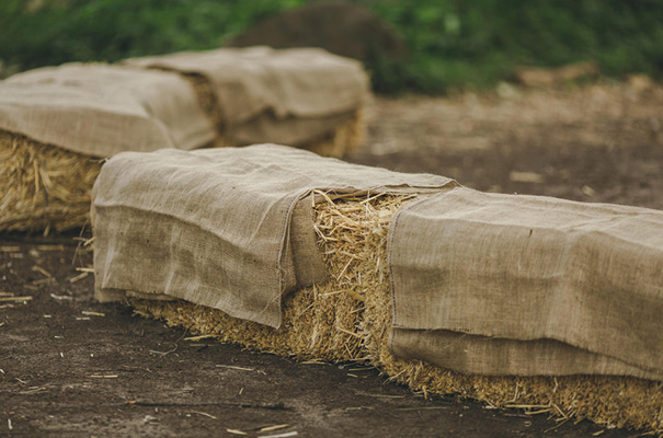 collingwood-childrens-farm-melbourne-wedding-photographer7