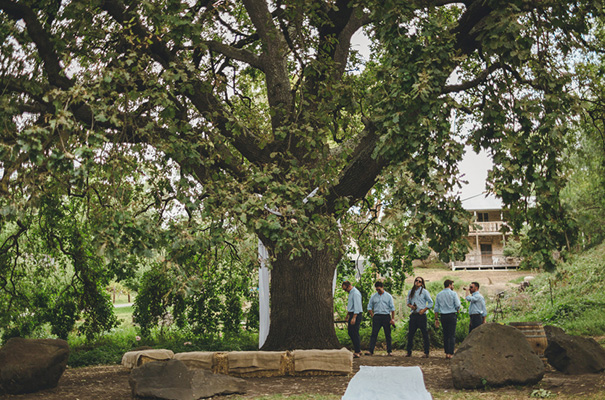 collingwood-childrens-farm-melbourne-wedding-photographer8
