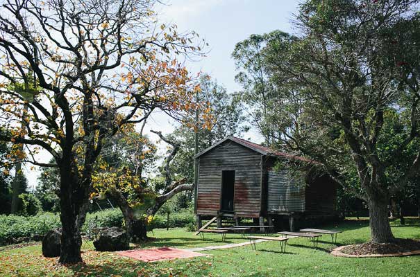 daisies-mapleton-backyard-wedding-queesnaland-photographer