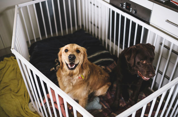 grace-loves-lace-wedfest-backyard-wedding8