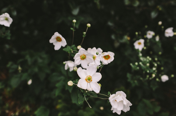 lara-hotz-botanical-gardens-sydney-wedding-net-a-porter-bridal-gown32