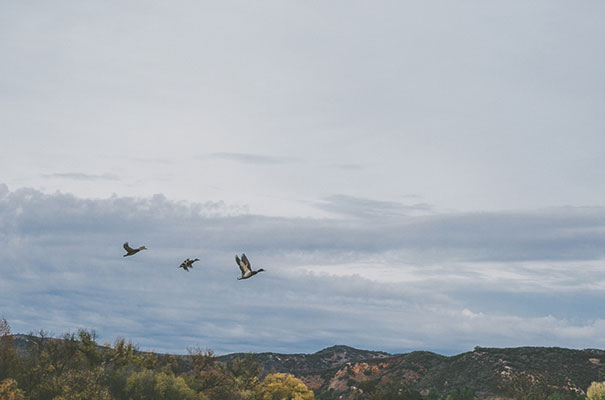 paramount-rnach-engagement-photography-gina-ryan