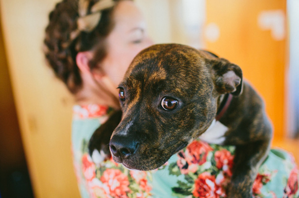 perth-wedding-photographer-gold-merlot-inspiration3