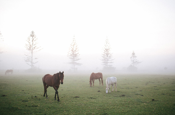 rachel-gilbert-samantha-wills-james-frost-bendooley-estate-wedding