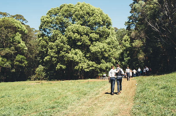 zimmerman-bridalgown-backyard-casual-wedding9