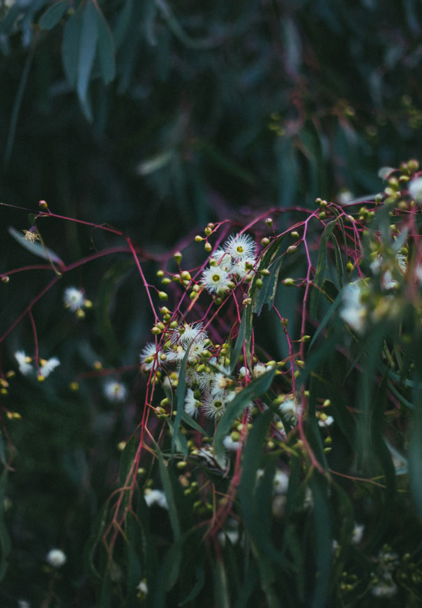 VIC-pop-and-scott-workshop-bridal-jumosuit-playsuit-onesie-flowers-warehouse-melbourne-wedding75
