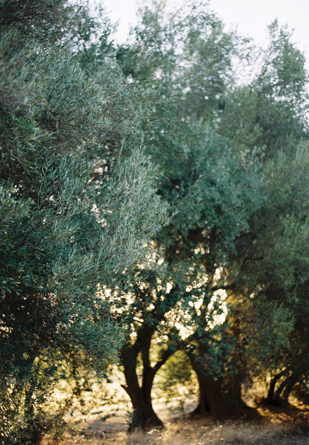 WA-golden-hour-perth-wedding-photographer-katie-grant11